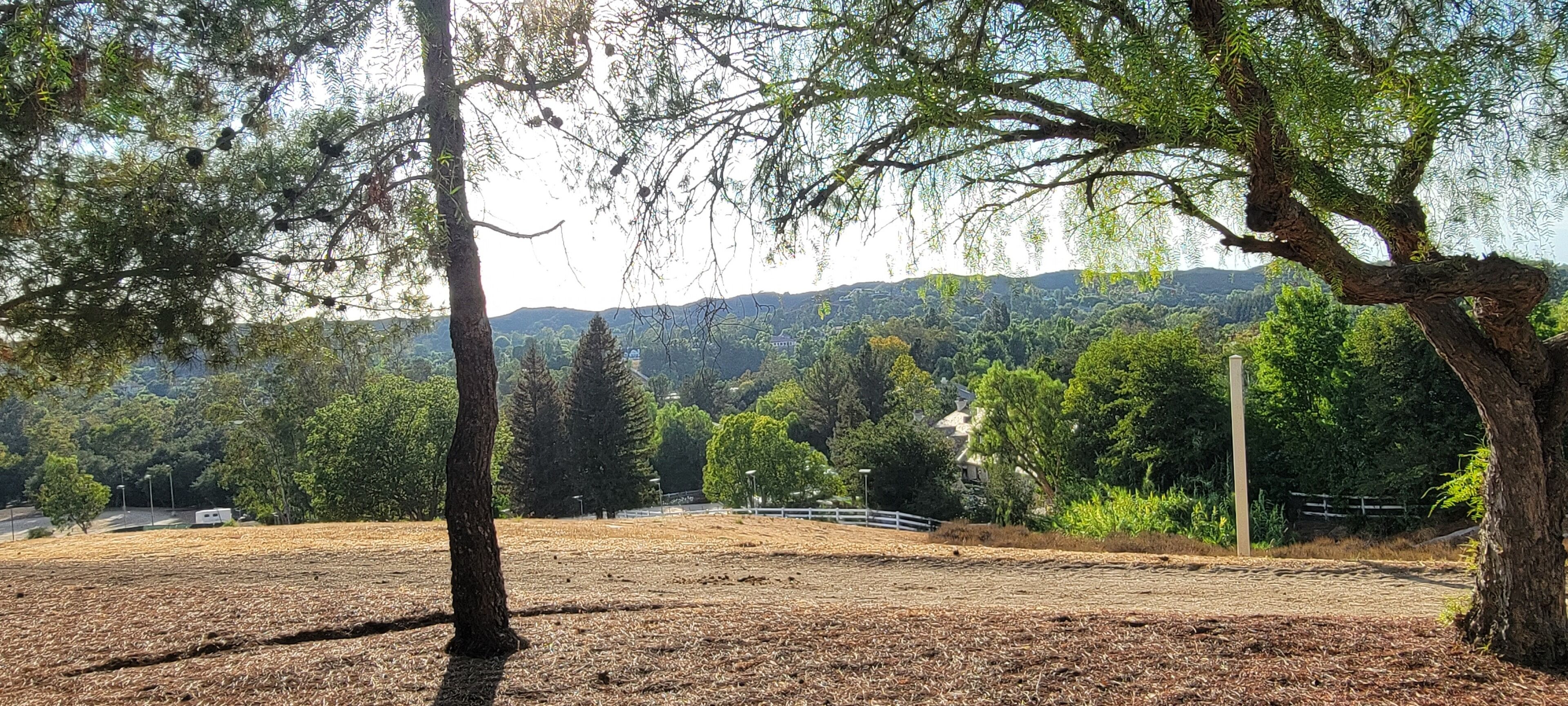 An open field with trees and a distant mountain range.