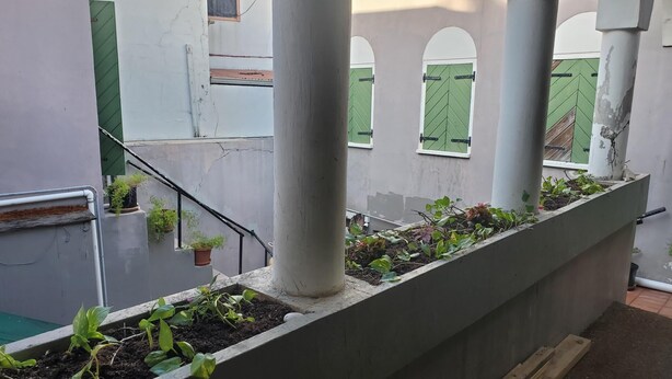 Un jardin sur le toit, agrémenté de plantes disposées dans des jardinières rectangulaires, d’un escalier et offrant une vue sur la façade de l’immeuble.