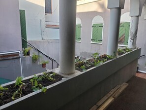A rooftop garden with plants in rectangular planters, a staircase, and a view of the building's exterior.