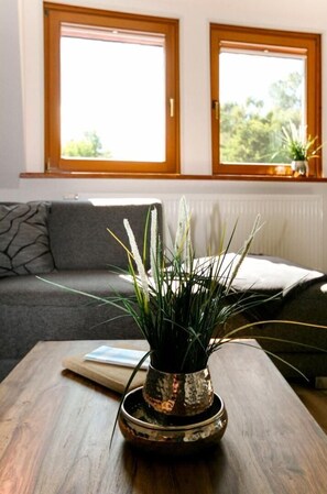 Fernseher, Stereoanlage