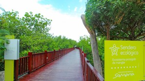 A wooden boardwalk with red railings, surrounded by lush greenery and trees. - Exclusive Apartment 3 Bedroom in Beach Club (Santa Marta)