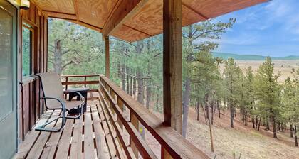 Unique lodge w/ mountain & valley views, wood-burning fireplace, and decks