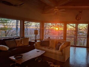 TV connectée, cheminée, lecteur de DVD, livres