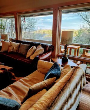 TV connectée, cheminée, lecteur de DVD, livres