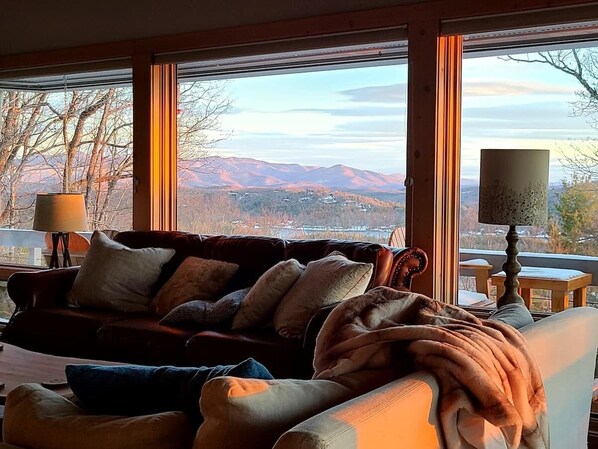 Smart TV, fireplace, DVD player, books