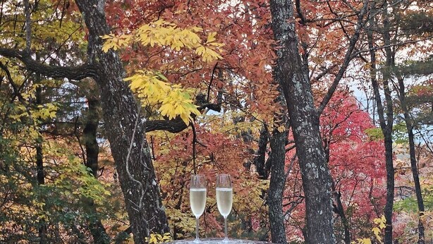 A hot tub with two glasses of champagne, surrounded by autumn foliage.