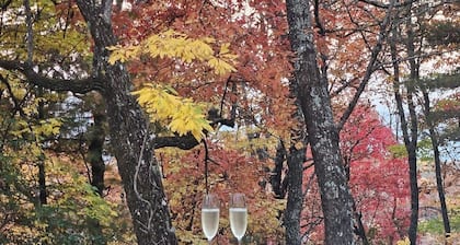 Stunning Mtn Views in Western NC W/Waterfall Hikes