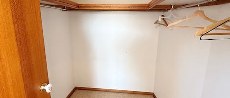 A room with a wooden door, a closet with a hanging rod, and a carpeted floor.