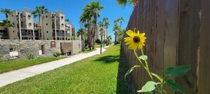 Property grounds - Renovated Beachfront Condo * 2 Pools *Tons of Beds (Bahia Mar #426) by RedAwning (South Padre Island)
