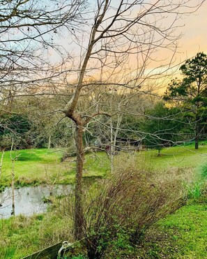 Jardines del alojamiento