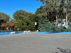 Condo, 2 quartos | Piscina