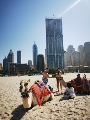 On the beach - Luxury waterfront 3br in No. 9 Marina (Дубай)