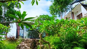 A stone staircase leading up to a building surrounded by lush greenery and trees. - Ancala Uluwatu (Pecatu)