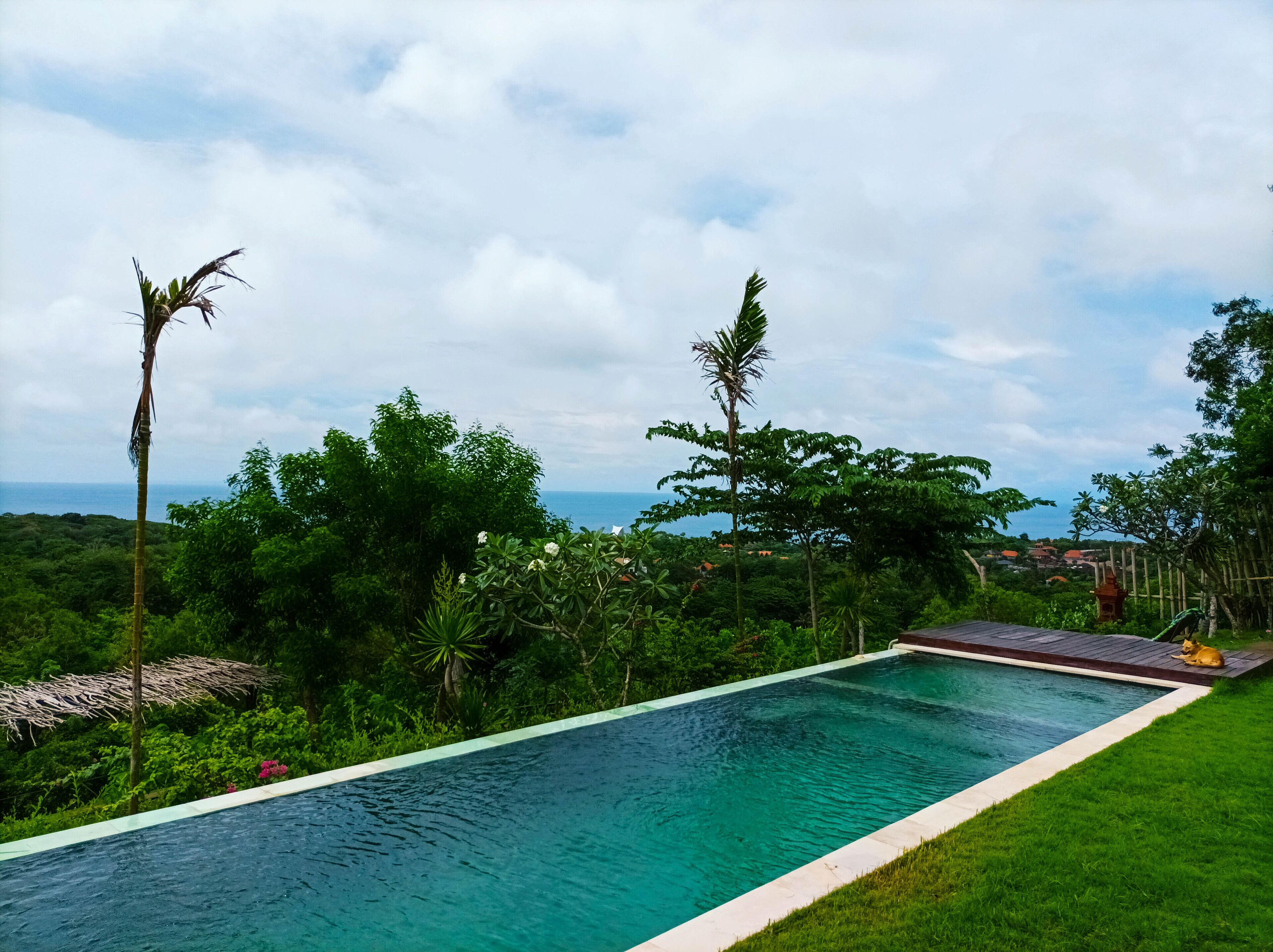 Outdoor pool, pool loungers