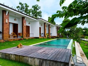 Outdoor pool, sun loungers - Ancala Uluwatu (Pecatu)