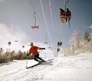 Snow and ski sports - Perfect Modern Lake Front Retreat with Dock! Sleeps 4 (Alton)