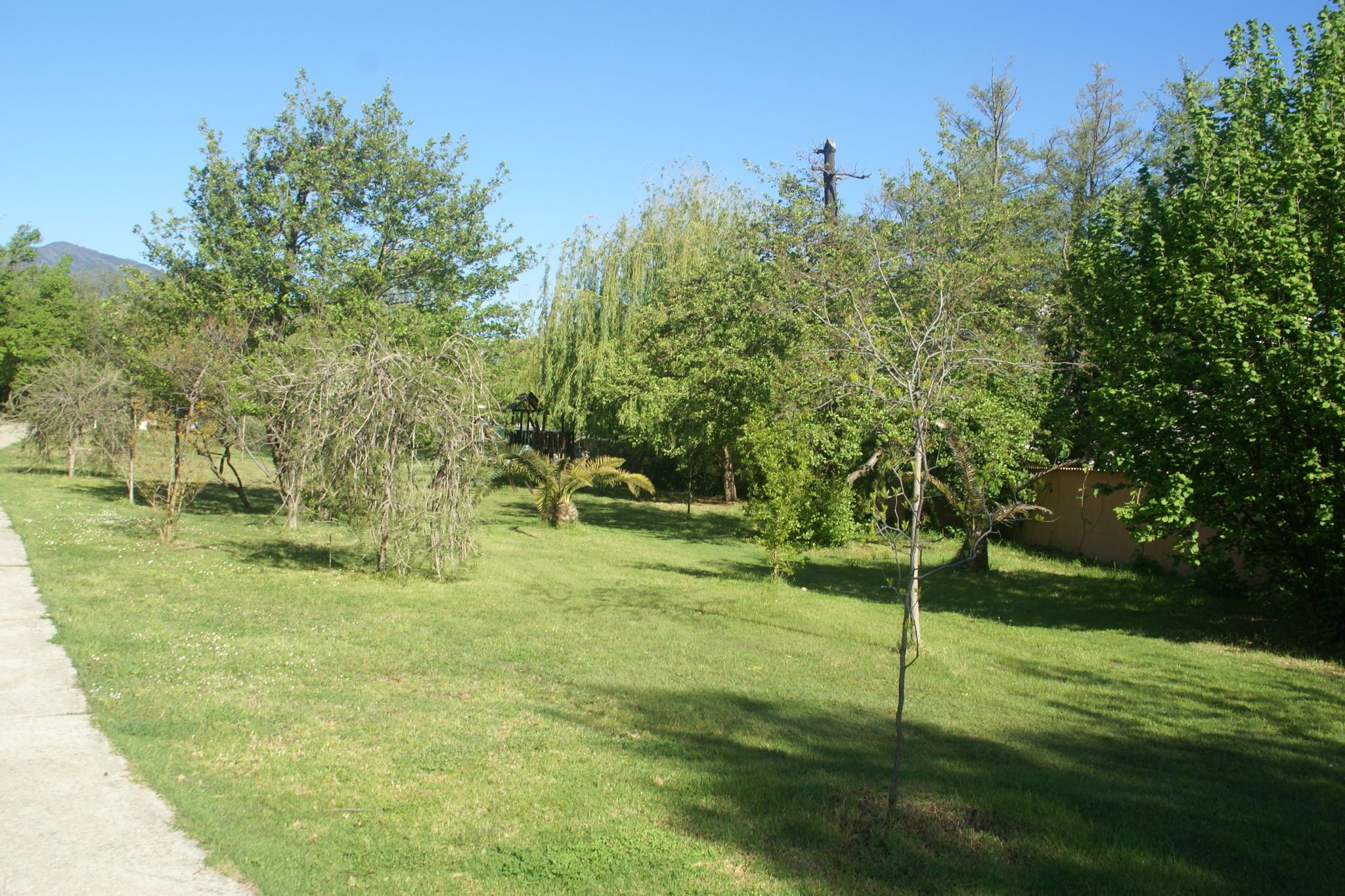A grassy area with trees and a wooden structure.
