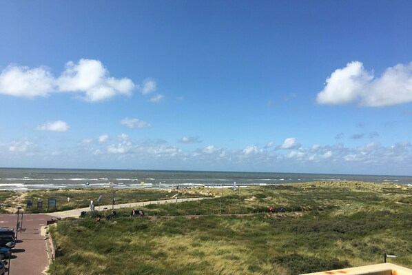 A coastal landscape with a clear sky, grassy dunes, and a paved path leading to the beach.