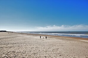A wide sandy beach with footprints, a few people, and a dog walking.
