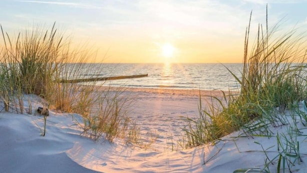 A beach scene with sand dunes and grasses.