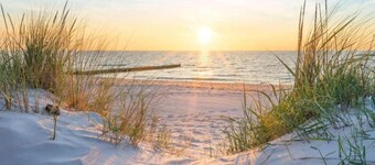 Bright Coastal Family Escape