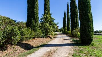 Área da propriedade