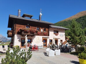 Eksteriør