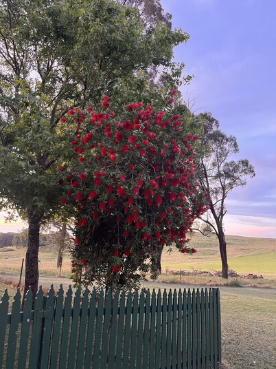 Farmstay Cottage on the Strathbogie Tablelands.