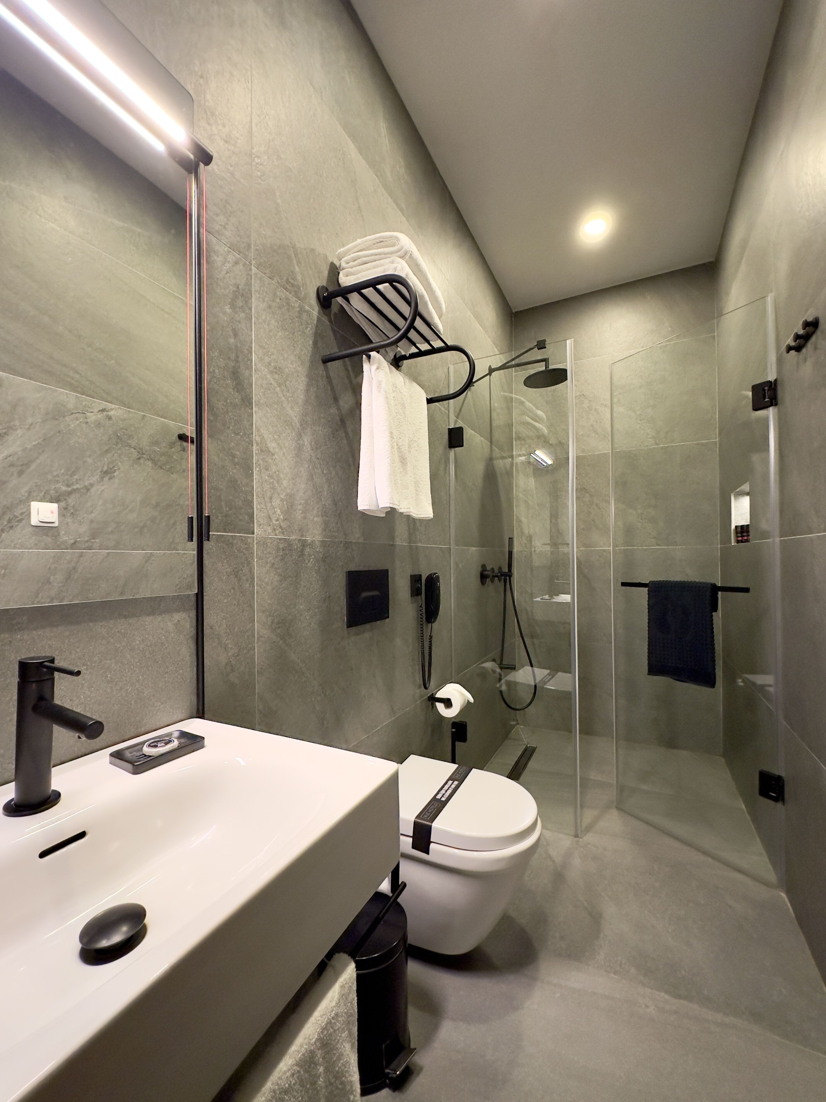 A modern bathroom with a glass-enclosed shower, a white sink, and a toilet.