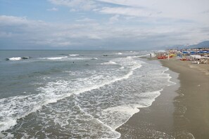 Beach - Alloro Grillo (Camaiore)