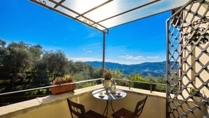 A balcony with a table and chairs, a potted plant, and a view of the mountains.