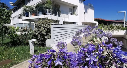 Studio in luxury residence with garden 10 minutes from Biarritz and beaches
