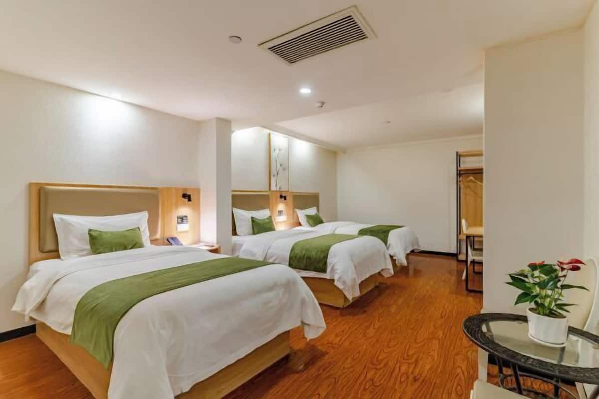 A hotel room with two beds, a small table, a potted plant, and a mirror.