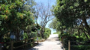 A pathway leading to a building with a sign indicating 'Cenote Duncare'. - Forster holiday home, linen included-WiFi- pets welcome-cafes,beach, golf, fish  (Forster)