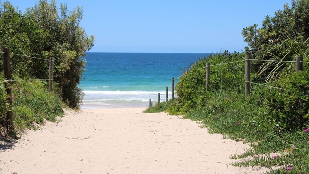 A sandy beach path leading to the ocean, surrounded by greenery and a clear blue sky. - Forster holiday home, linen included-WiFi- pets welcome-cafes,beach, golf, fish  (Forster)