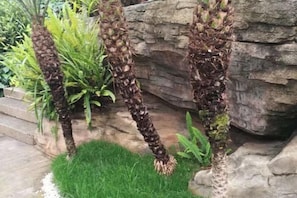 Un jardin avec des palmiers et un mur en pierre.