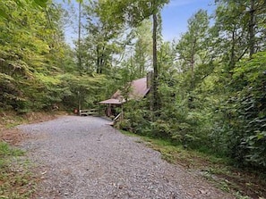 A gravel path leading to a rustic cabin surrounded by dense forest.