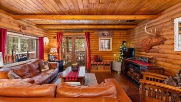 Télévision, cheminée