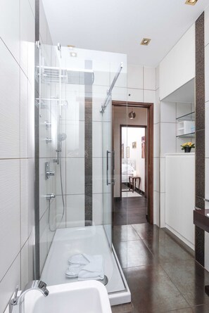 Shower, hair dryer, bidet, towels