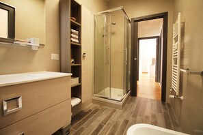 Shower, hair dryer, bidet, towels