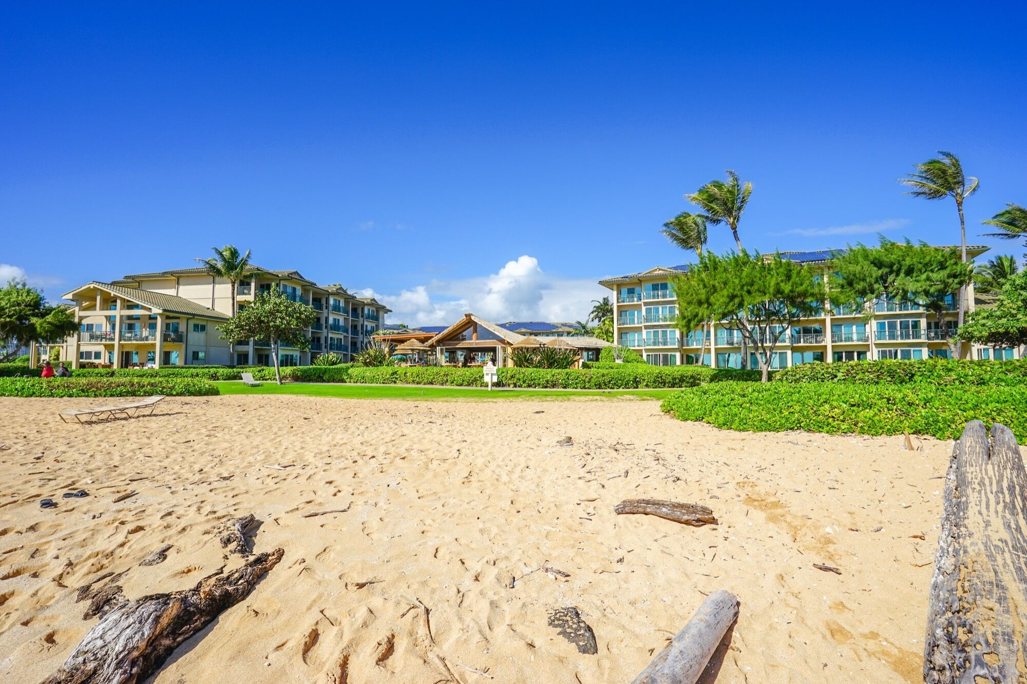 A beachfront hotel with multiple buildings, a sandy beach, and palm trees.