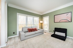 Televisión, chimenea y libros 