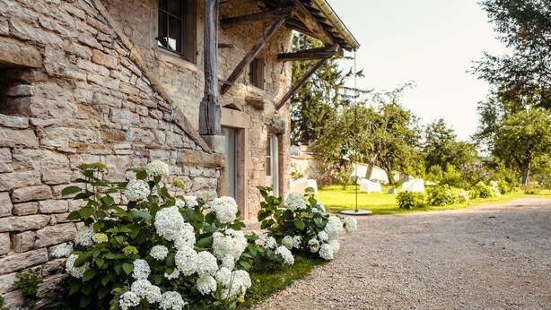A stone building with a gravel driveway and white hydrangea bushes. - Gîte la Porterie - Clos des Dames de Lancharre (Chapaize)