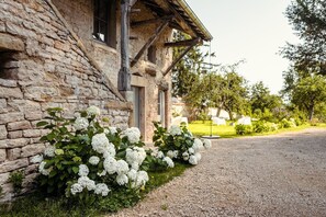 设计独立别墅, 独立浴室 | 花园