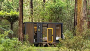 Unclassified image, 2 of 15, button - Quantum Field by Tiny Away (Toolangi)
