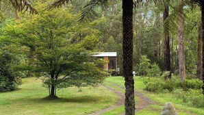A forested area with a path leading to a building. - Quantum Field by Tiny Away (Toolangi)