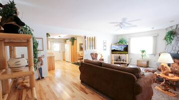TV, fireplace, stereo