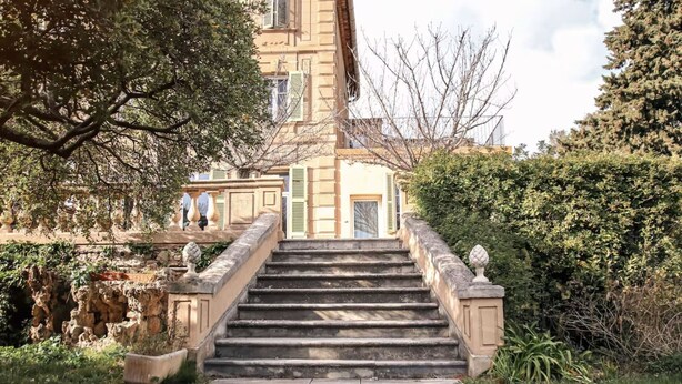 A stone staircase leading to a building with a classic architectural style, surrounded by greenery and trees.
