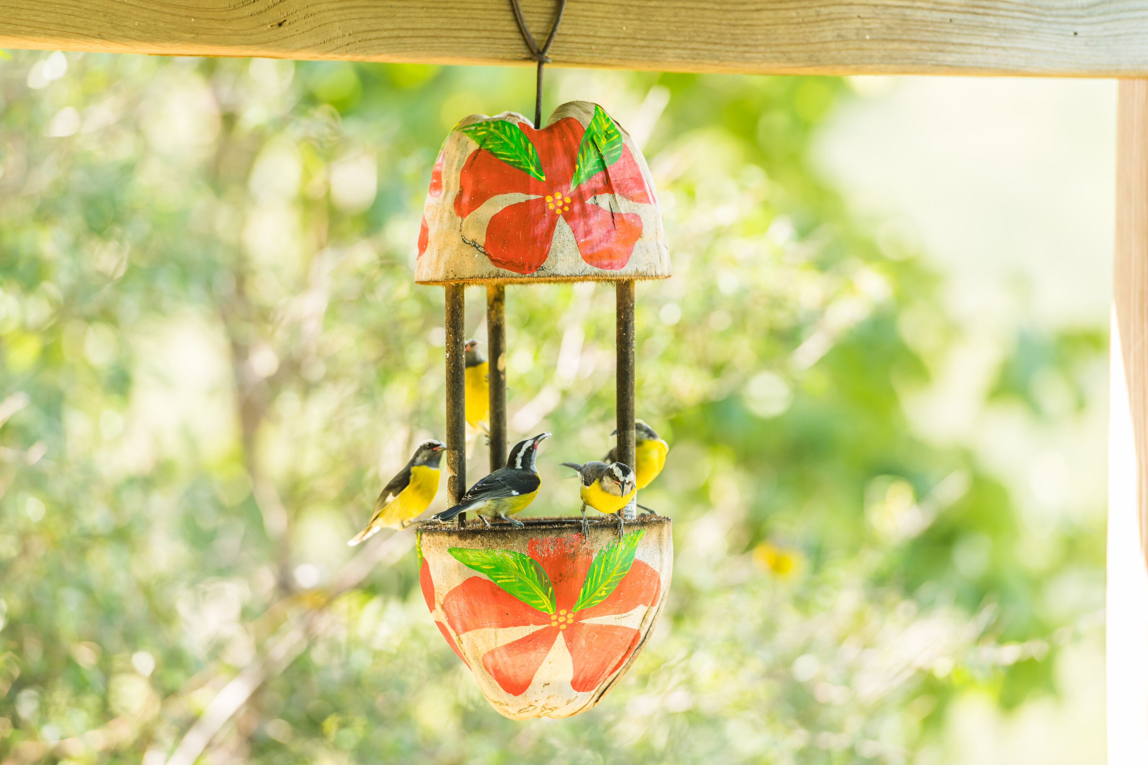 A bird feeder with a floral design hanging from a wooden structure.