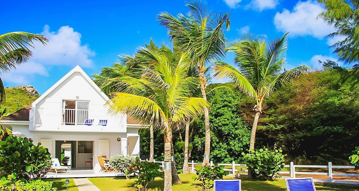 Imagen de perfil del propietario o de la propietaria